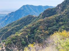 -大岭沟猕猴桃谷风景区
