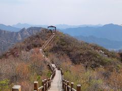 -大岭沟猕猴桃谷风景区