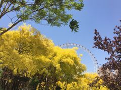 -天津之眼摩天轮