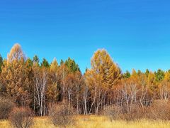 -塞罕坝国家级自然保护区