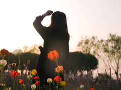 -艾溪湖湿地公园