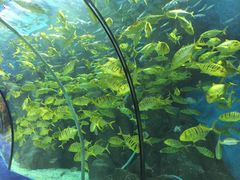 -福州罗源湾海洋世界旅游区