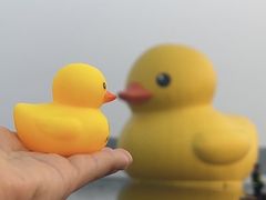-深圳人才公园