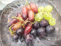 -白鹿原葡萄主题公园