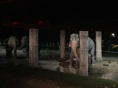 -清迈夜间动物园