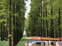景点-渌洋湖湿地公园