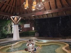 -天目湖涵田半山温泉