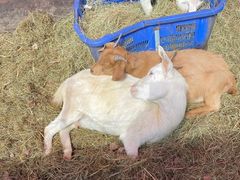 -杭州师范大学(下沙校区)