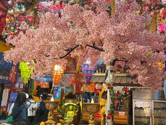 -吉祥圣雪藏餐