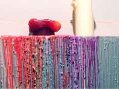 -柴务处·柴犬主题狗咖