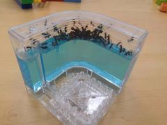 -斯坦星球AI编程·机器人科创·科学实验·信奥·思维·STEM·乐高·竞赛考级(长宁虹桥大融城荟聚中心)