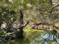 -人民公园(罗湖区)