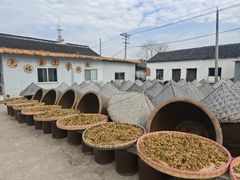 -苏州市吴中区光福窑上花果蜜饯厂