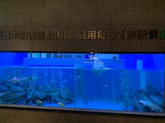 -淘米捞·米汤脆鲩鱼火锅(福田皇岗店)