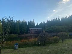 -黄海国家森林公园