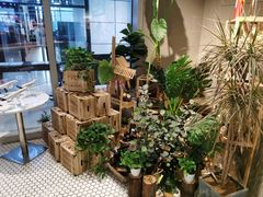 -MOCUS莫卡斯餐厅(祥云小镇店)