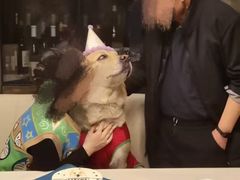 -Dark Horse·黑马蛋糕·低脂·低糖淡奶(金匙望湖大厦店)