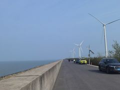 -上海长兴岛郊野公园