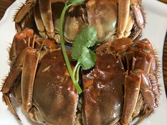 -呼吸森林·生态农庄农家乐私房菜