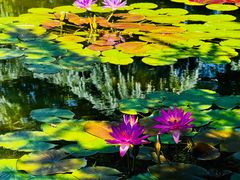 -国家植物园南园