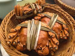 -蟹村草堂·苏式园林人文农家·大闸蟹