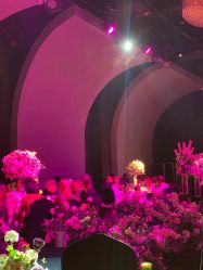 -格乐利雅婚礼艺术中心(南外滩店)