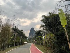 -明仕田园
