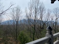 -武侯墓风景区