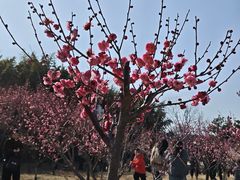 -艾山风景名胜区