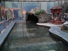 -长白山聚龙火山温泉