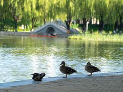 -中国农业博物馆