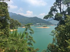 -广州市流溪河国家森林公园