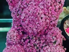 -1Cake壹刻蛋糕(奥体公园味觉艺术馆店)