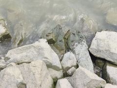 -南沙十九涌渔人码头-南门