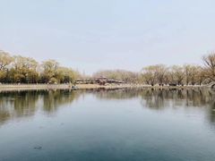 -百脉泉景区