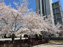 -日本大使馆-新闻文化中心