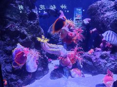 -成都浩海立方海洋公园