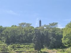 -巢湖姥山岛