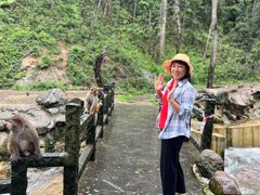 -姑婆山旅游区