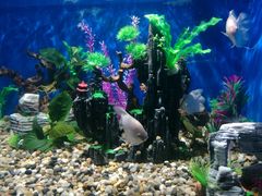 -绍兴梦享海洋公园