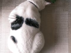 -三仟津花园咖啡馆