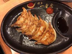 博多一口饺子-博多一幸舍(侨福芳草地购物中心店)