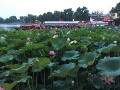 -小王府(什刹海店)