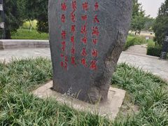 -泰丰公园