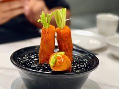 -丁老爷子苏香圆