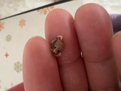 -百年义利(北兴路店)