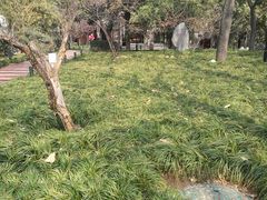 -大雁塔北广场音乐喷泉