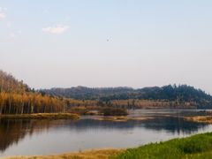 -五营红松林海景区