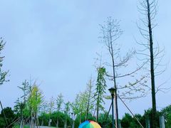 -南湖湿地公园