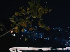 -梅峰山地公园